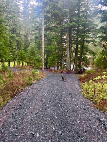 Photo Oct 28 2025, 4 32 03 PM