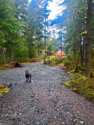 Photo Oct 28 2025, 4 34 17 PM